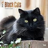 Black Cats - Schwarze Katzen 2018 - 18-Monatskalender: Original BrownTrout-Kalender [Mehrsprachig] [ livre