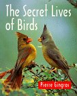 The Secret Lives of Birds livre