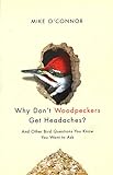 Why Don't Woodpeckers Get Headaches?: And Other Bird Questions You Know You Want to Ask livre