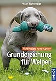 Grunderziehung für Welpen: Fichtlmeiers Hundeschule livre