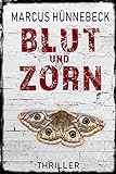 Blut und Zorn: Thriller (German Edition) livre