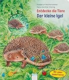 Der kleine Igel: Entdecke die Tiere livre