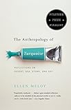 The Anthropology of Turquoise: Reflections on Desert, Sea, Stone, and Sky livre