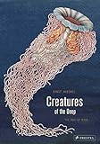 Creatures of the Deep: The Pop-up Book livre