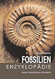 Illustrierte Fossilien-Enzyklopädie livre