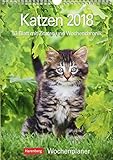 Katzen - Kalender 2018: Wochenplaner, 53 Blatt mit Zitaten und Wochenchronik livre
