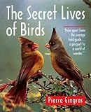 Secret Lives of Birds livre