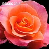 Roses 2013 - Rosen - Original BrownTrout-Kalender livre