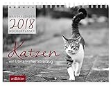 Katzen 2018: Wandkalender / Wochenplaner livre