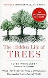 The Hidden Life of Trees livre