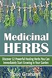 Medicinal Herbs: Discover 12 Powerful Medicinal Herbs You Can Immediately Start Growing In Your Gard livre