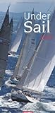 Under Sail 2014 livre