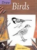 Draw Birds livre