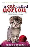 A Cat Called Norton livre