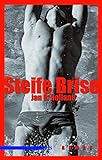 Steife Brise: Roman livre