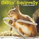 Getting Squirrelly 2018 Calendar livre