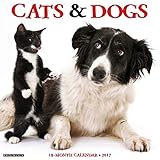 Cats & Dogs 2017 Calendar livre