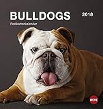 Bulldogs Postkartenkalender - Kalender 2018 livre