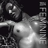 Feminine 2014 Broschürenkalender livre