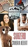 Subzero (BearPaw Resort Book 4) (English Edition) livre