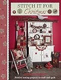 Stitch It for Christmas livre