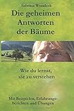 Die geheimen Antworten der Bäume: Wie du lernst sie zu verstehen livre