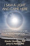 I Saw A Light And Came Here: Children's Experiences of Reincarnation (English Edition) livre