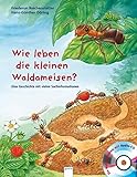 Wie leben die kleinen Waldameisen?: Eine Geschichte mit vielen Sachinformationen (Sachbilderbuch) livre