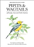 Pipits and Wagtails of Europe, Asia and North America: Identification and Systematics (Helm Identifi livre