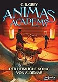 Animas Academy - Der heimliche König von Aldemar , Band 2 livre