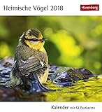Heimische Vögel - Kalender 2018: Kalender mit 53 Postkarten livre