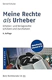 Meine Rechte als Urheber: Urheber- und Verlagsrechte schützen und durchsetzen (dtv Beck Rechtsberat livre