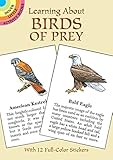 Learning About Birds of Prey livre