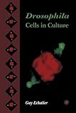 Drosophila Cells in Culture (English Edition) livre