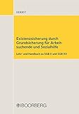 Existenzsicherung durch Grundsicherung für Arbeitssuchende und Sozialhilfe: Lehr- und Handbuch zu S livre