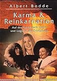 Karma und Reinkarnation. Auf der Suche nach Liebe und Logik in der Schöpfung livre