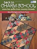 Back to Charm School: More Fun Quilts from Country Threads livre