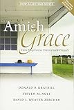 Amish Grace: How Forgiveness Transcended Tragedy livre