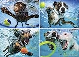 Underwater Dogs 2: 1000-piece Puzzle livre