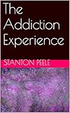 The Addiction Experience (English Edition) livre