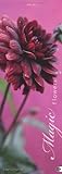 Magic Flowers Vertical 2014 livre