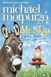 Mr Skip (English Edition) livre