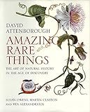 Amazing Rare Things - The Art of Natural History in the Age of Discovery livre