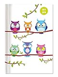 Collegetimer Owls 2017/2018 - Schülerkalender A5 - Weekly - 224 Seiten livre