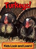 Turkeys! Learn About Turkeys and Enjoy Colorful Pictures - Look and Learn! (50+ Photos of Turkeys) ( livre