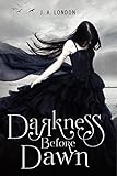 Darkness Before Dawn (Darkness Before Dawn Trilogy Book 1) (English Edition) livre