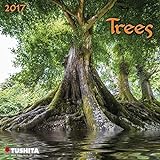 Trees 2017: Kalender 2017 (Mini Calendars) livre