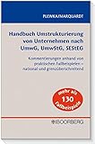 Handbuch Umstrukturierung von Unternehmen nach UmwG, UmwStG, SEStEG: Kommentierungen anhand von prak livre