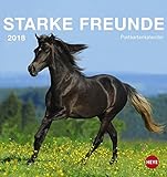 Pferde Postkartenkalender - Kalender 2018 livre