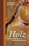 Holz: Wie ein Naturstoff Geschichte schreibt (Stoffgeschichten) livre
